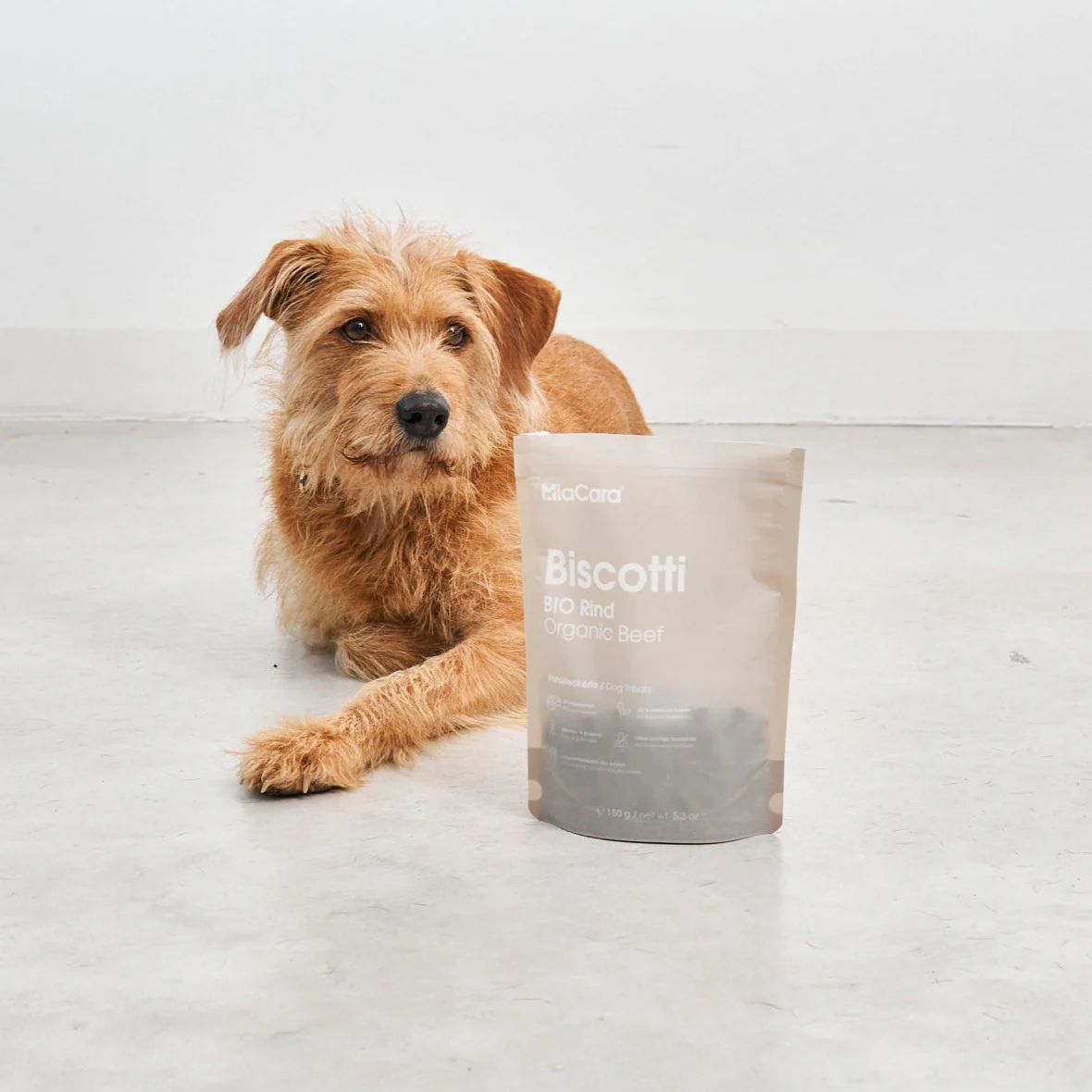Biscotti - Image 7