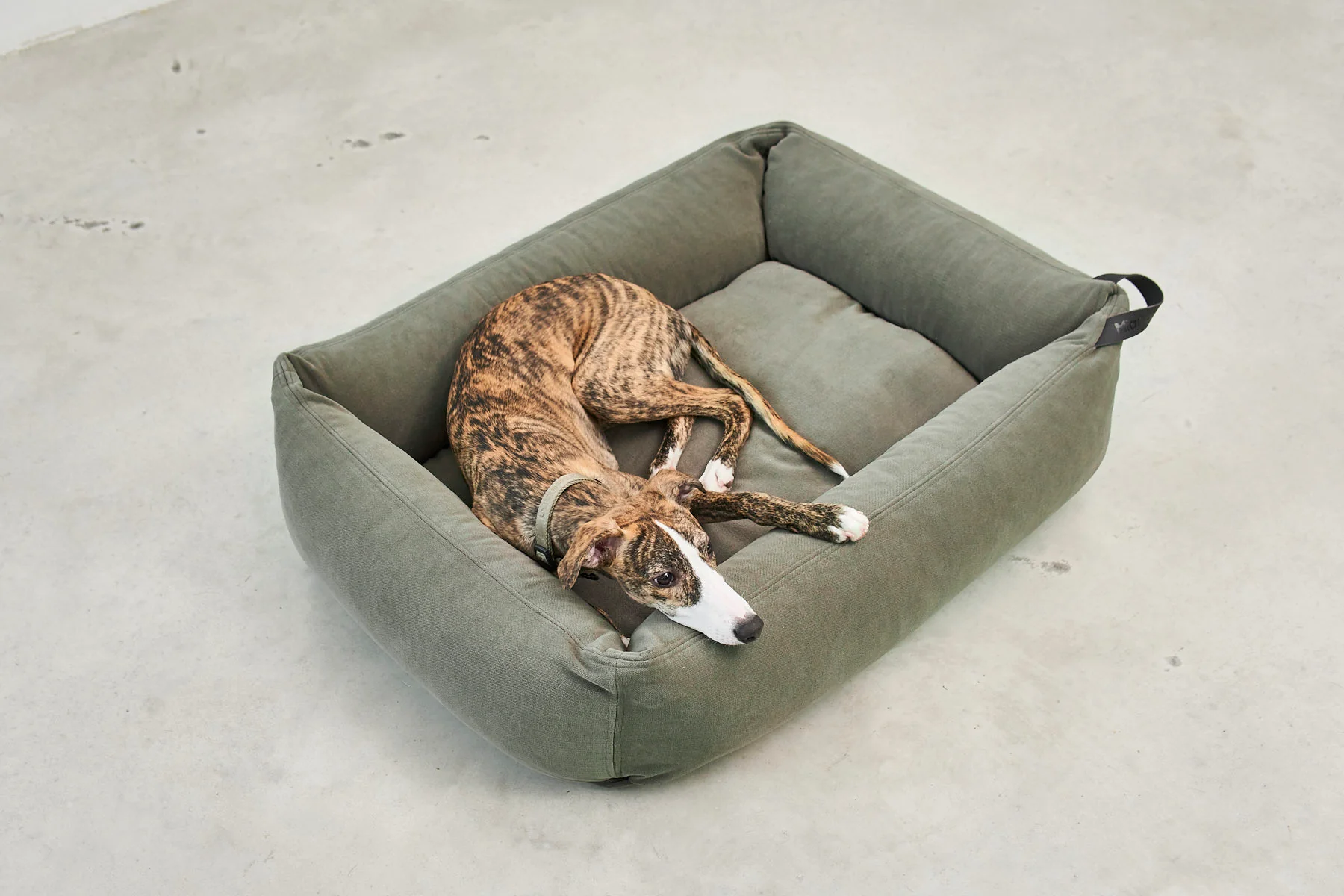 Comodo - Image 6