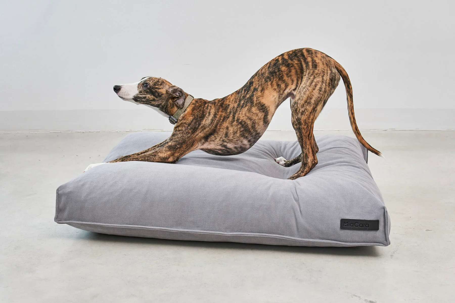 Comodo - Image 4