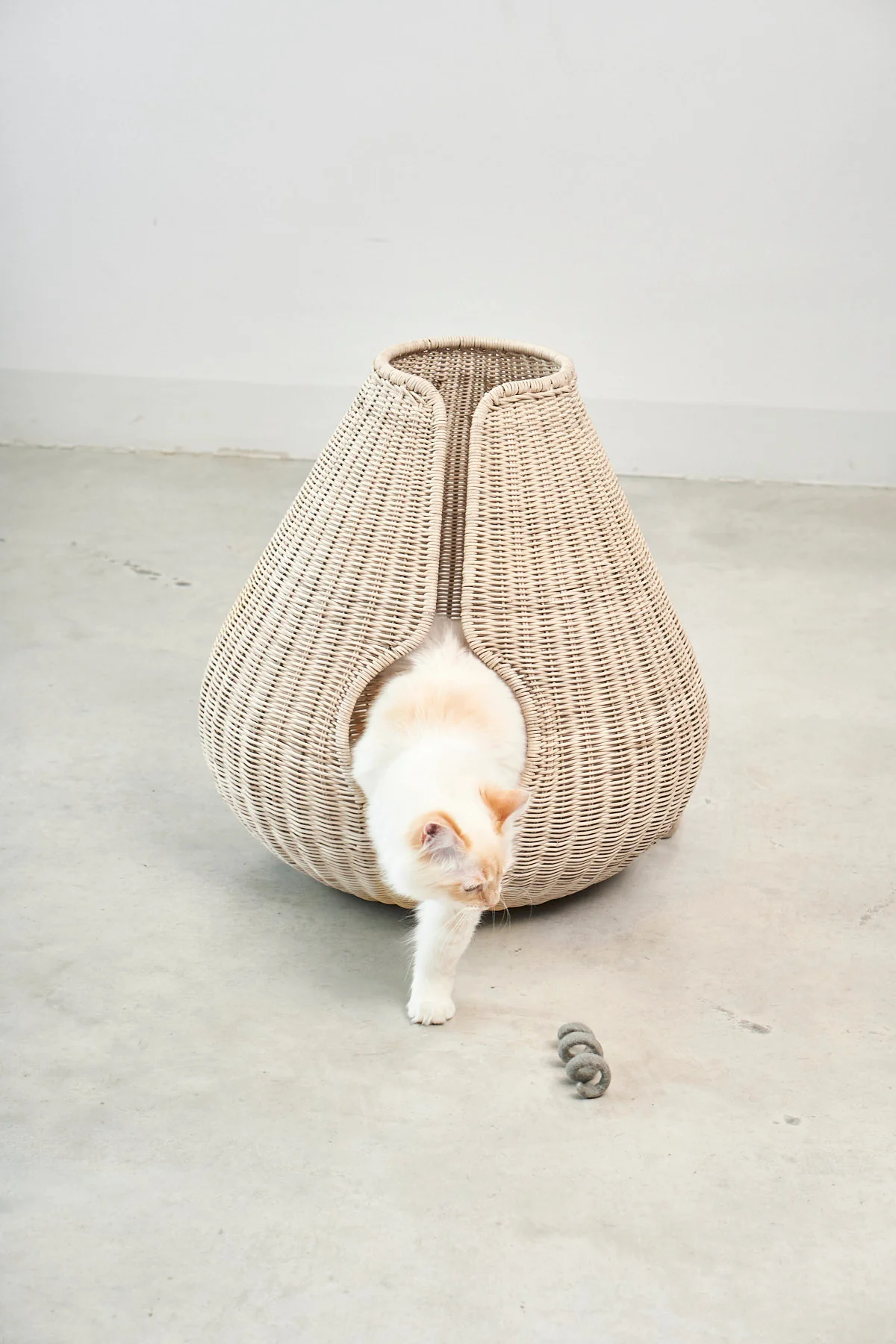 Perla - Image 3