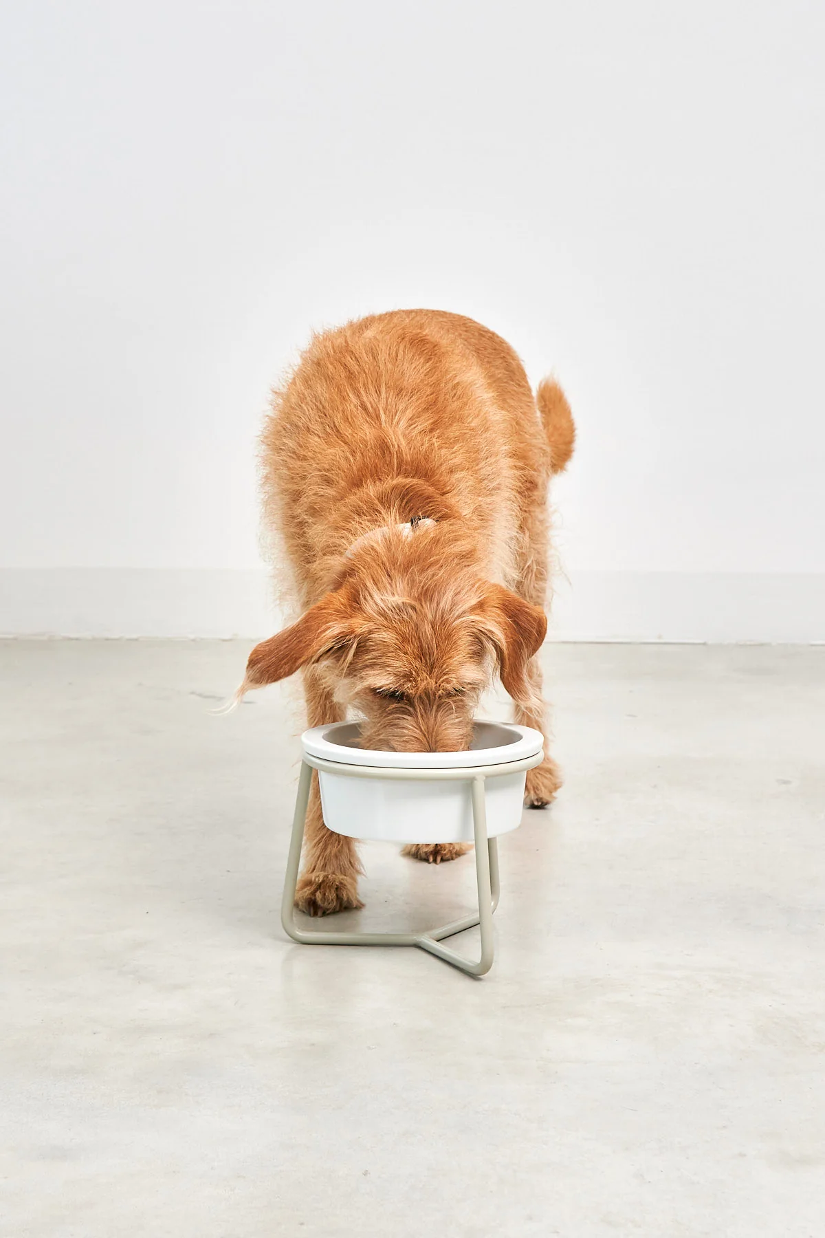 Pranzo - Image 5