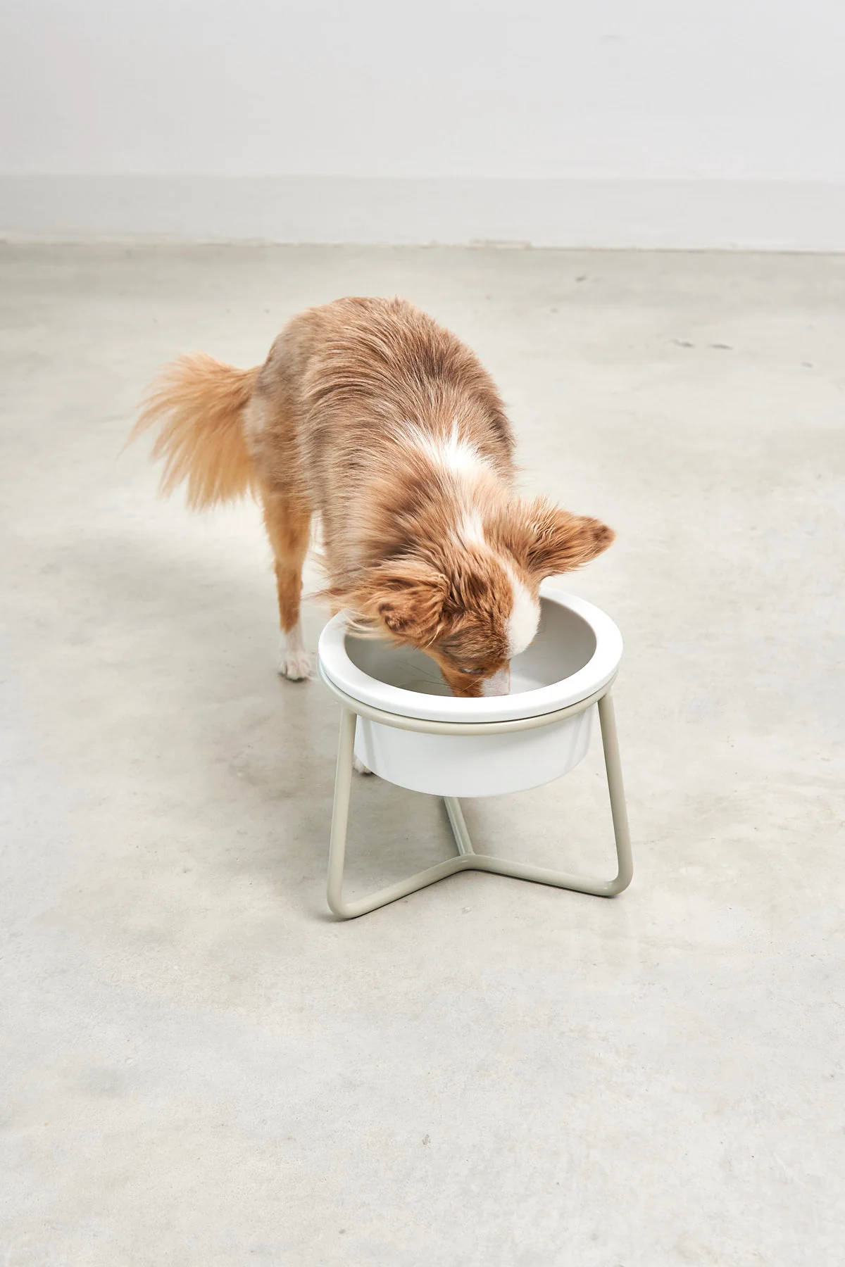 Pranzo - Image 6