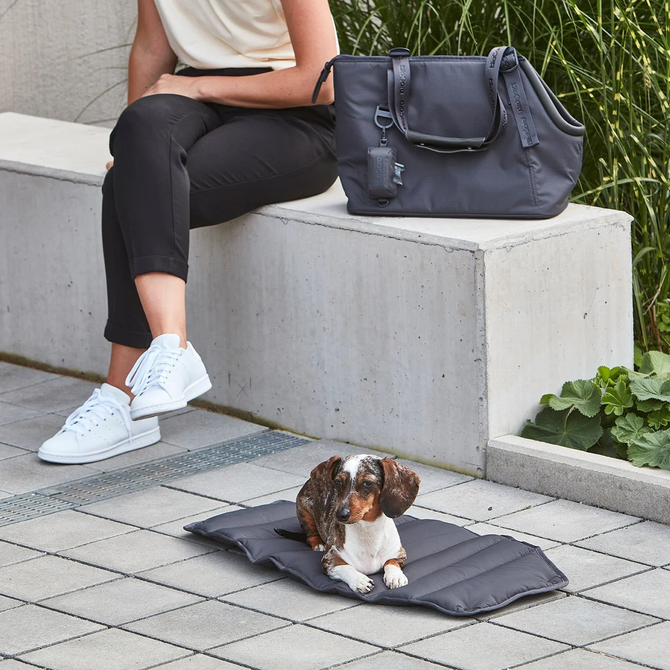 Sporta - Image 3