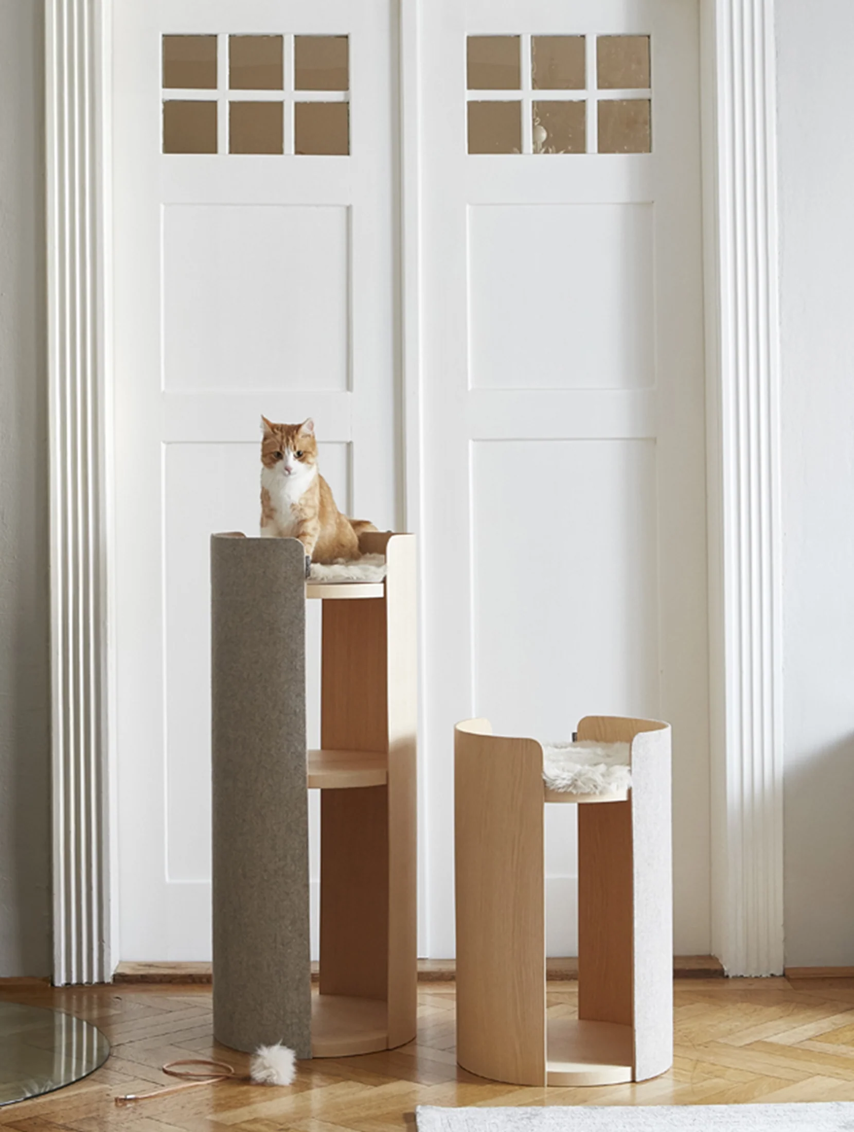 Torre - Image 5