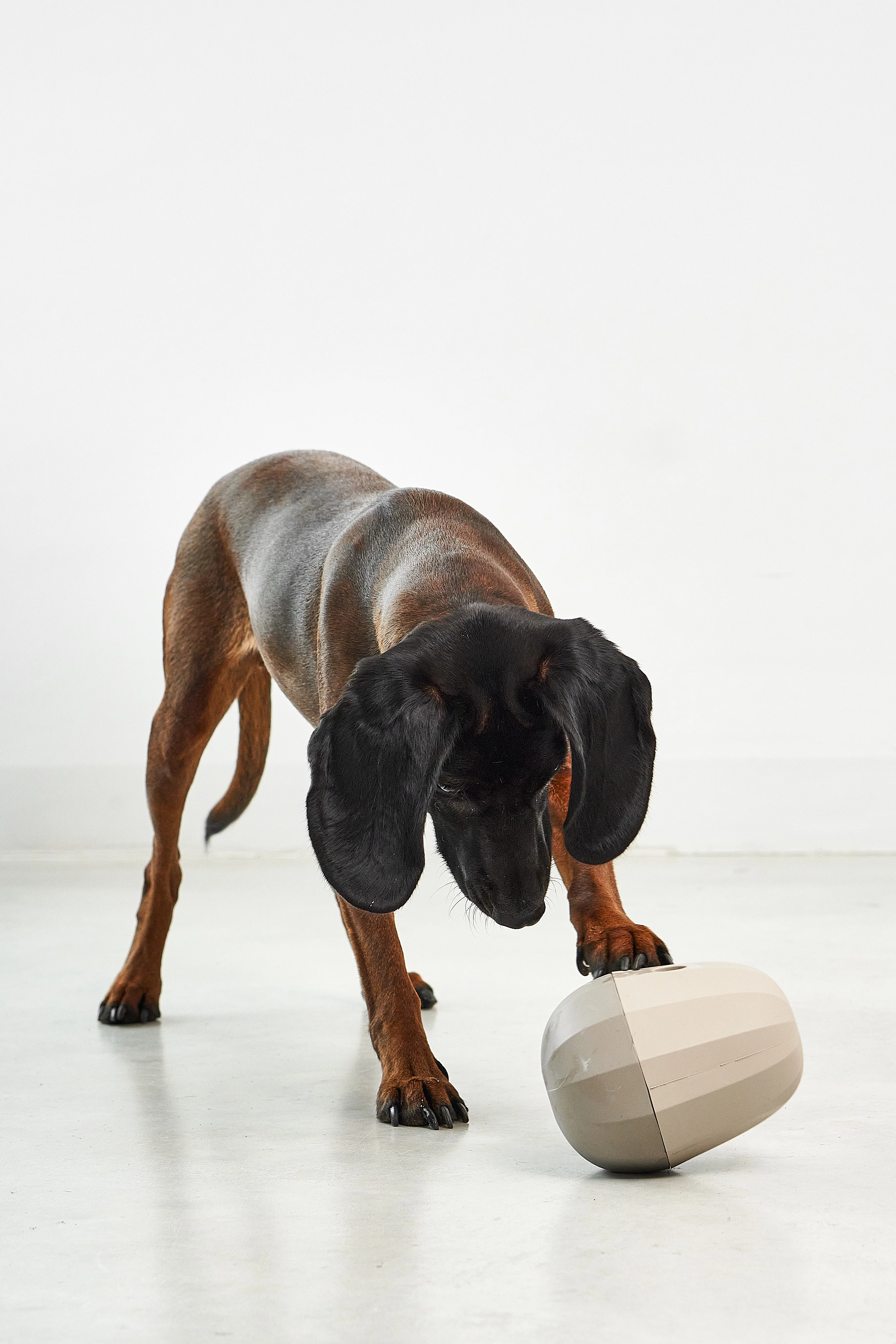 Uovo - Image 3